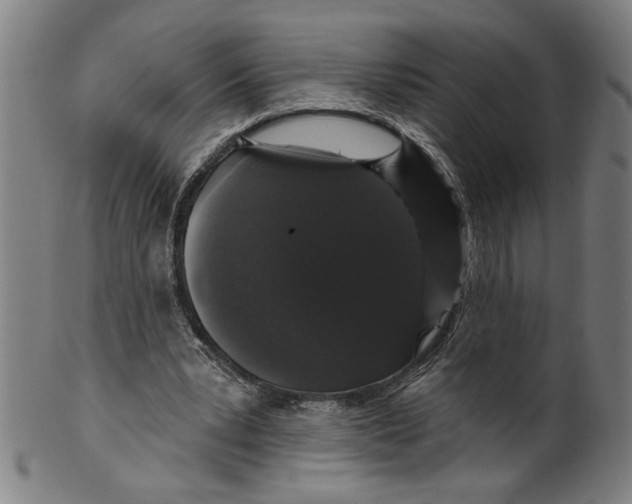 X0000099420391200806061000