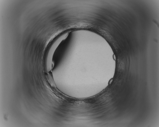 X0000099420392200806061000