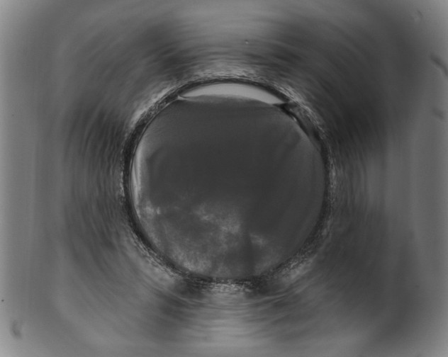 X0000099420399200806061000