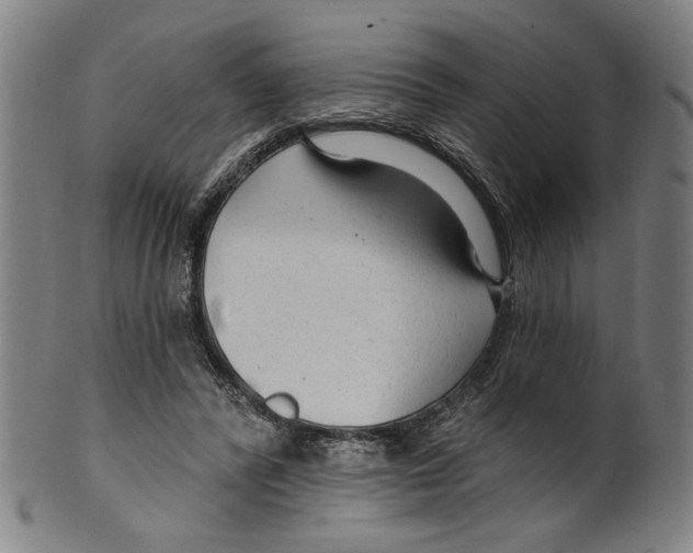 X0000099420400200806061000
