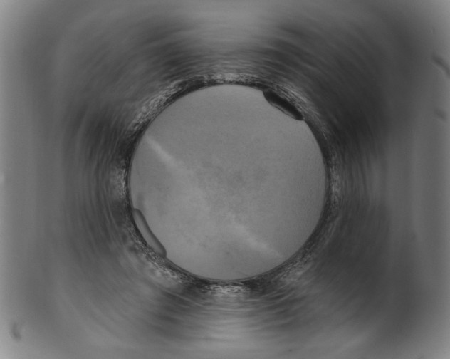 X0000099420401200806061000