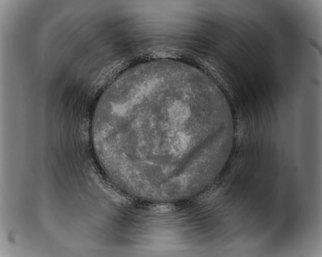 X0000099420402200806061000