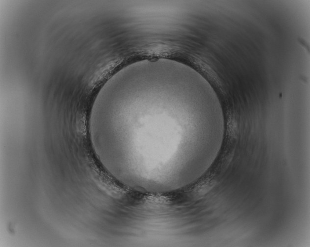 X0000099420403200806061000