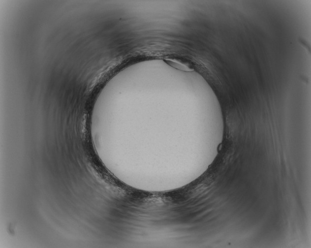 X0000099420404200806061000