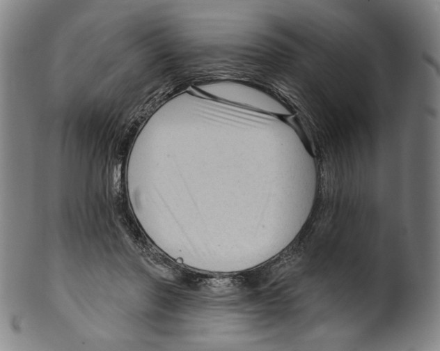 X0000099420406200806061000