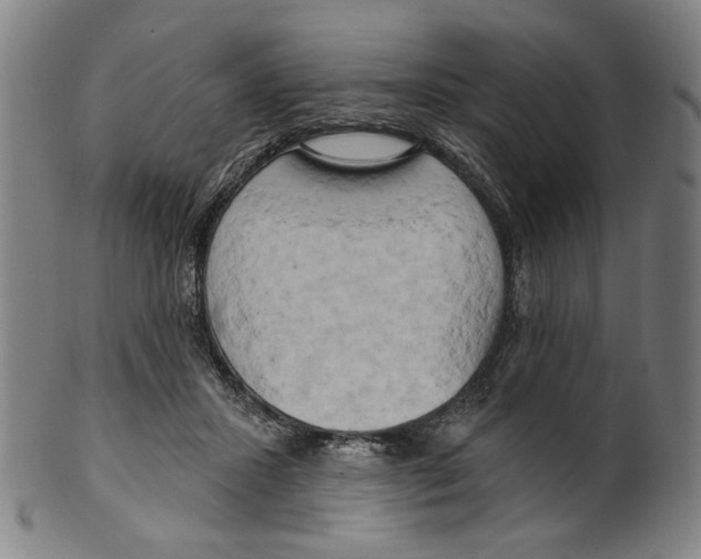 X0000099420407200806061000
