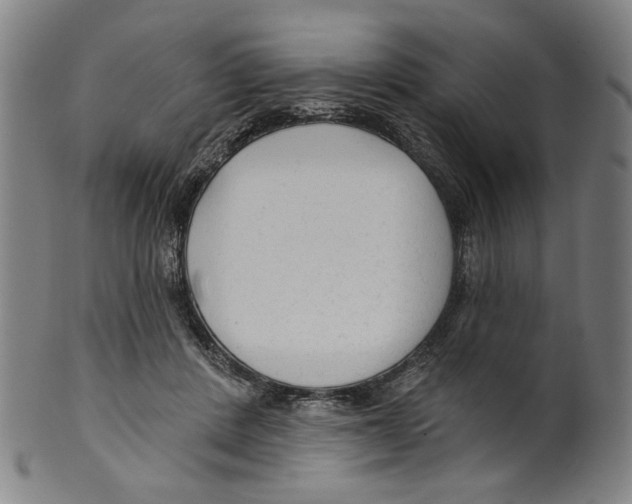 X0000099420408200806061000