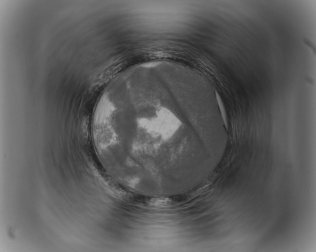 X0000099420410200806061000