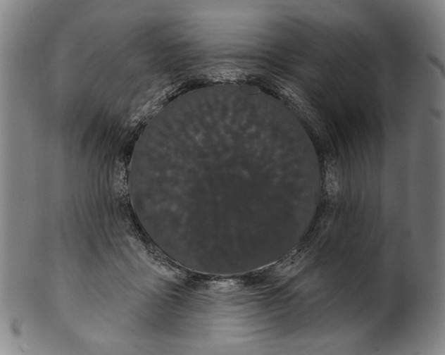 X0000099420411200806061000