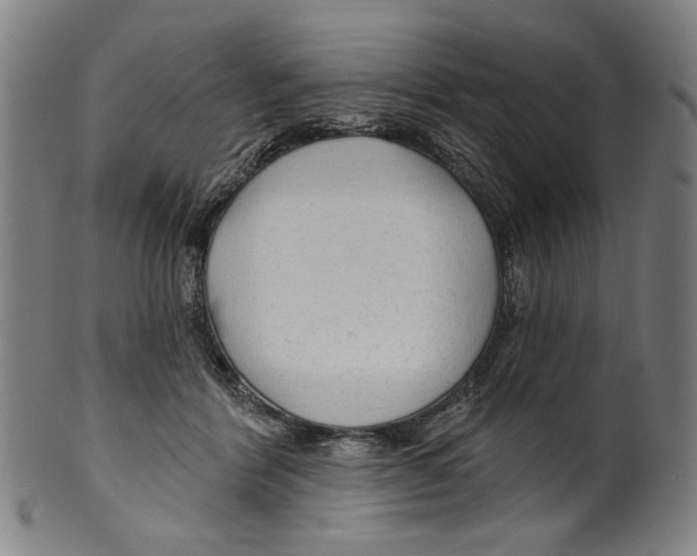 X0000099420412200806060959