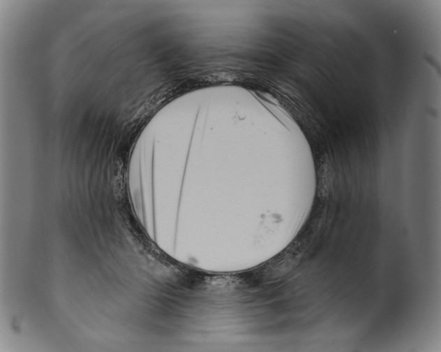 X0000099420414200806060959