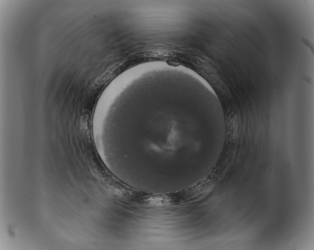 X0000099420415200806060959