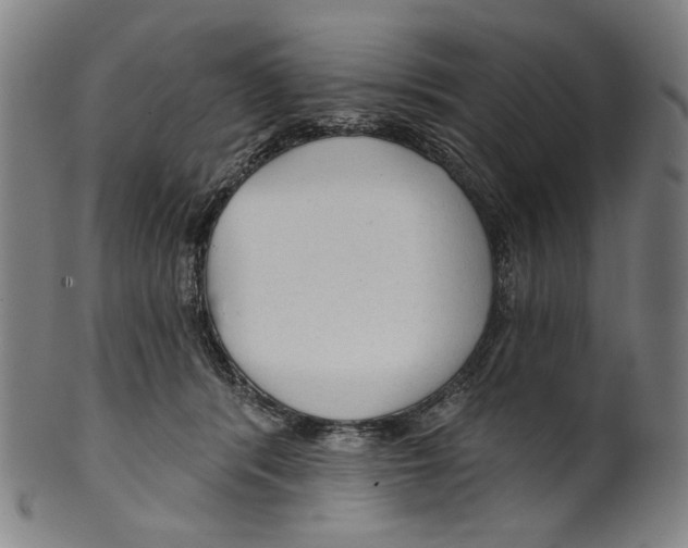 X0000099420416200806060959