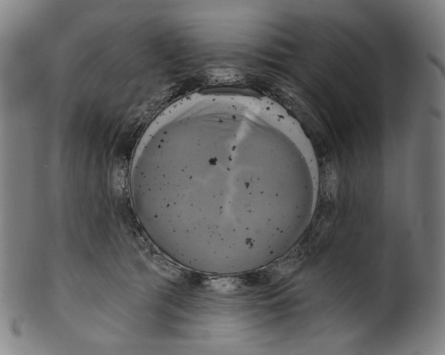 X0000099420417200806060959