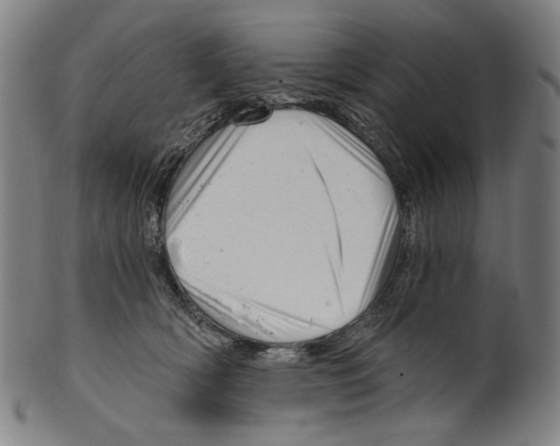 X0000099420418200806060959