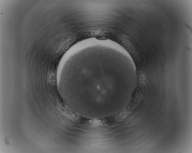 X0000099420419200806060959