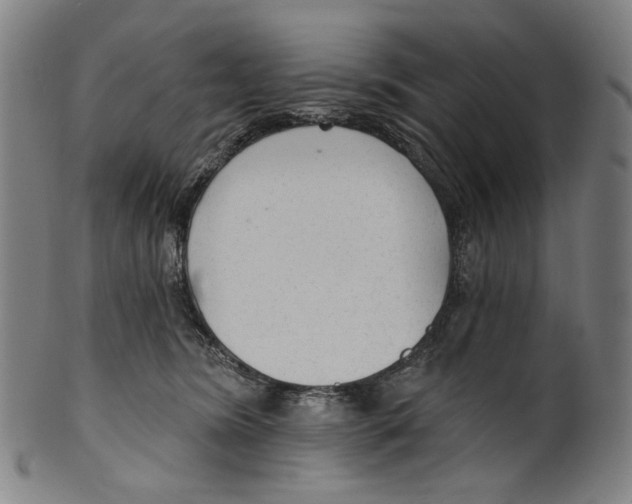X0000099420420200806060959