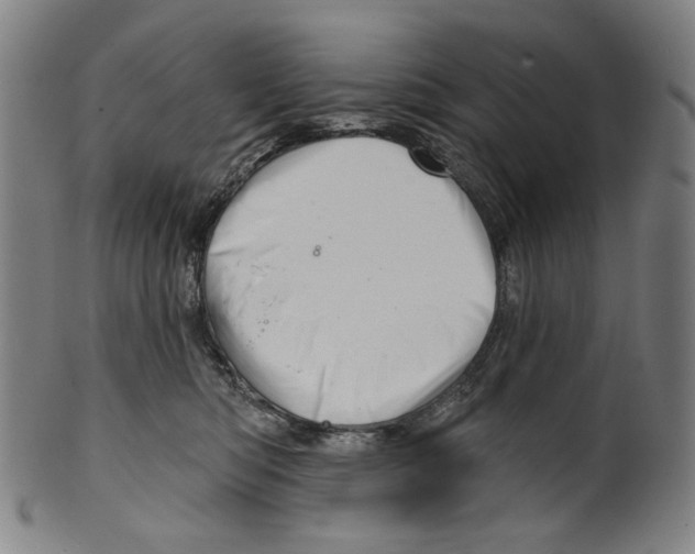 X0000099420422200806060959