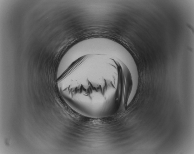 X0000099420423200806060959