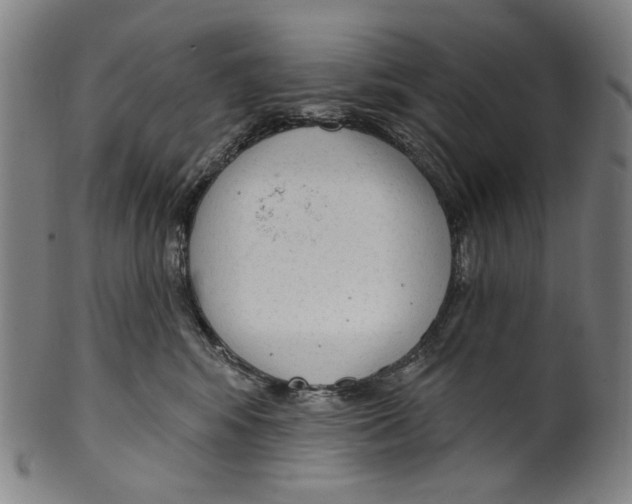 X0000099420424200806060959