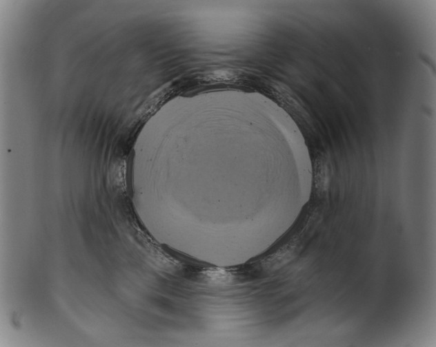 X0000099420425200806060959