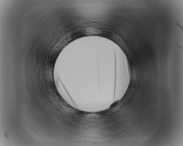 X0000099420426200806060959