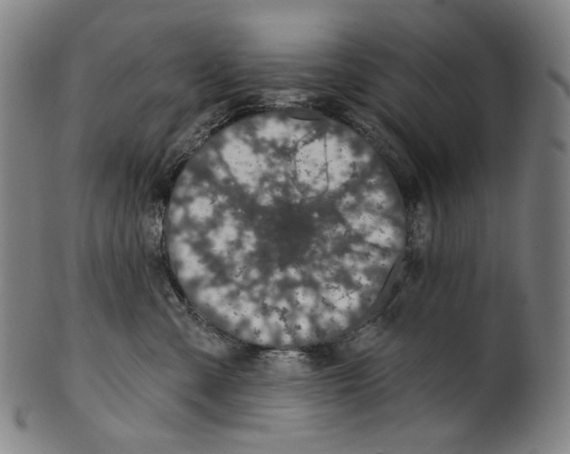 X0000099420427200806060959