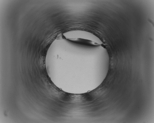 X0000099420428200806060959