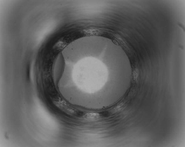 X0000099420429200806060959