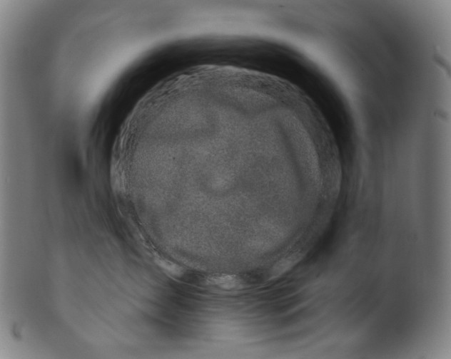 X0000099420431200806060959