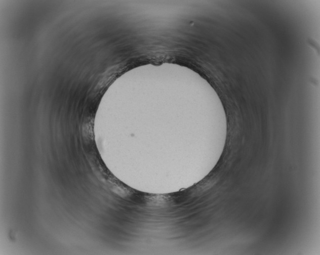 X0000099420432200806060959