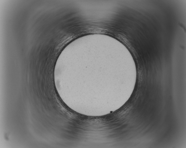 X0000099420433200806060959