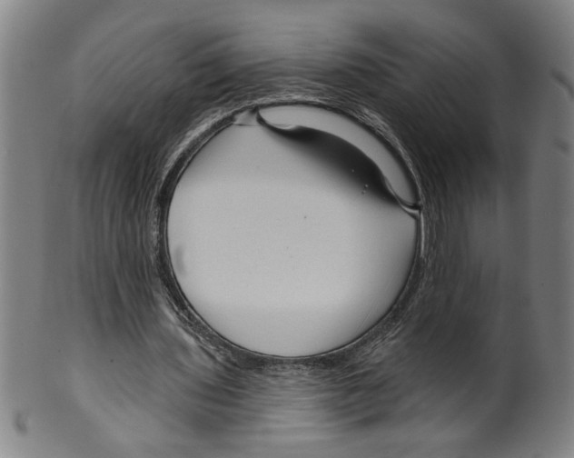 X0000099420435200806060959