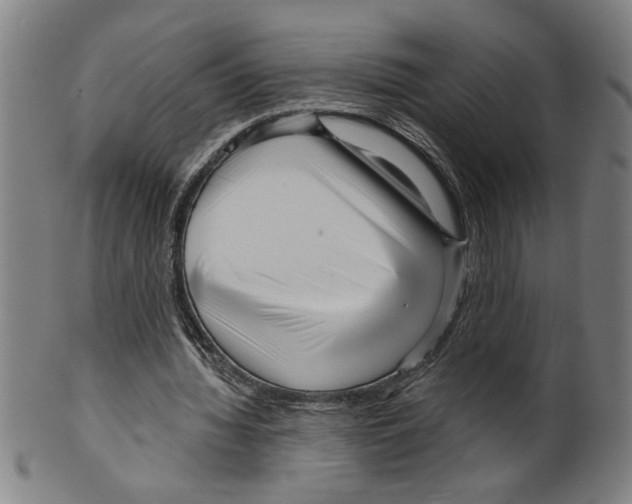 X0000099420436200806060959