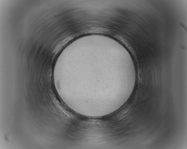 X0000099420437200806060959