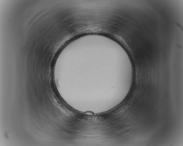 X0000099420439200806060959