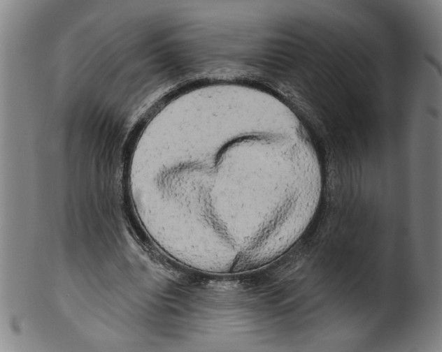 X0000099420440200806060959