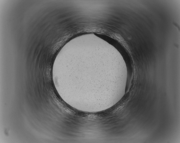 X0000099420441200806060959