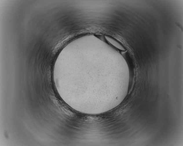 X0000099420442200806060959