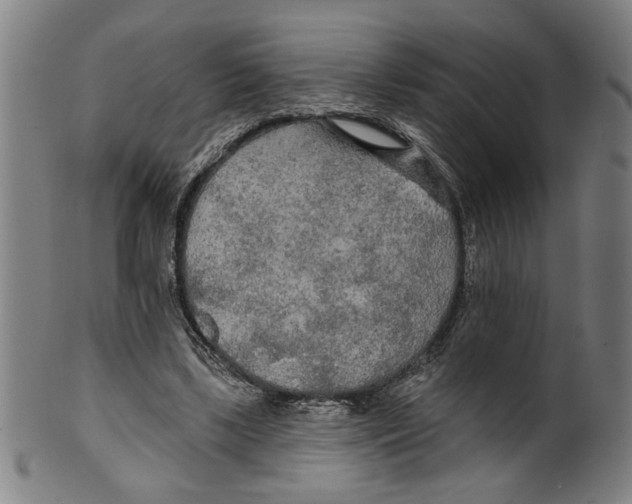 X0000099420443200806060959