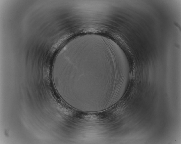 X0000099420444200806060959