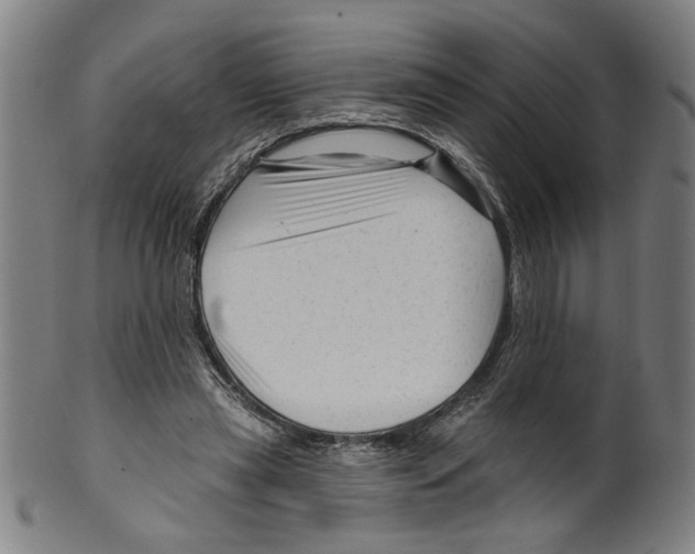 X0000099420445200806060959