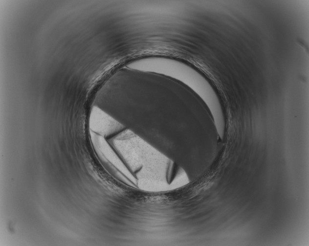 X0000099420446200806060959