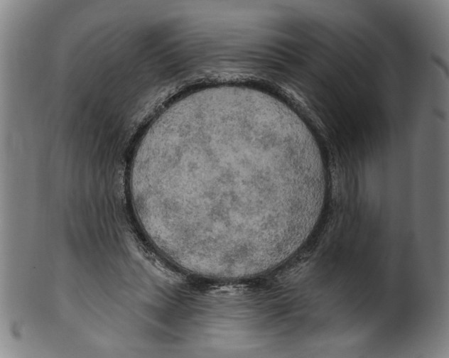 X0000099420447200806060959