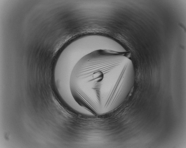 X0000099420448200806060959