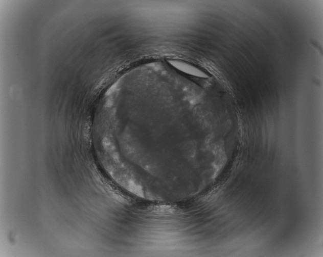 X0000099420449200806060959