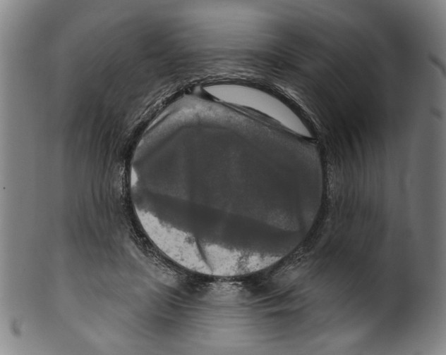 X0000099420451200806060959