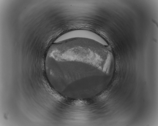 X0000099420453200806060959