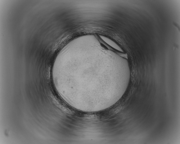 X0000099420454200806060959