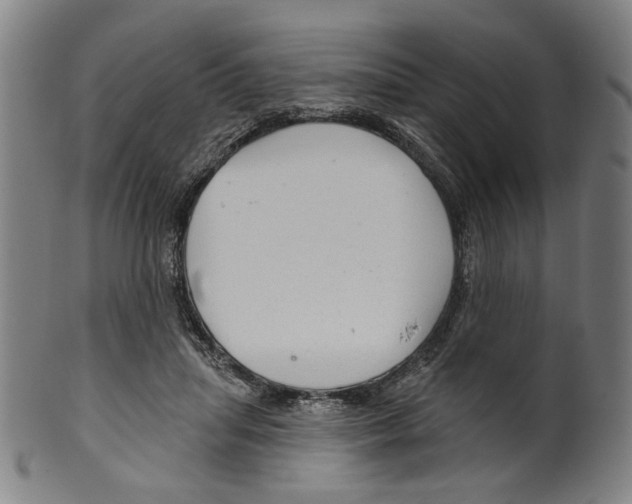 X0000099420455200806060959